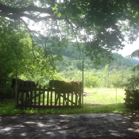 A La Ferme De Falgas *